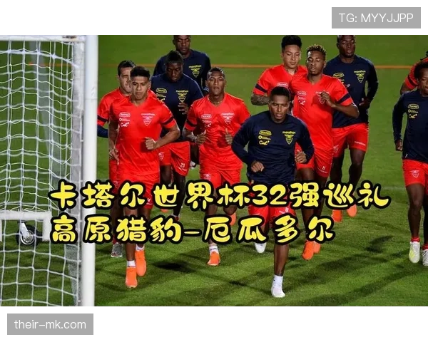 厄瓜多尔世界杯数据统计分析 厄瓜多尔世界杯数据统计分析